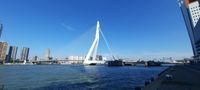 Rotterdam 7